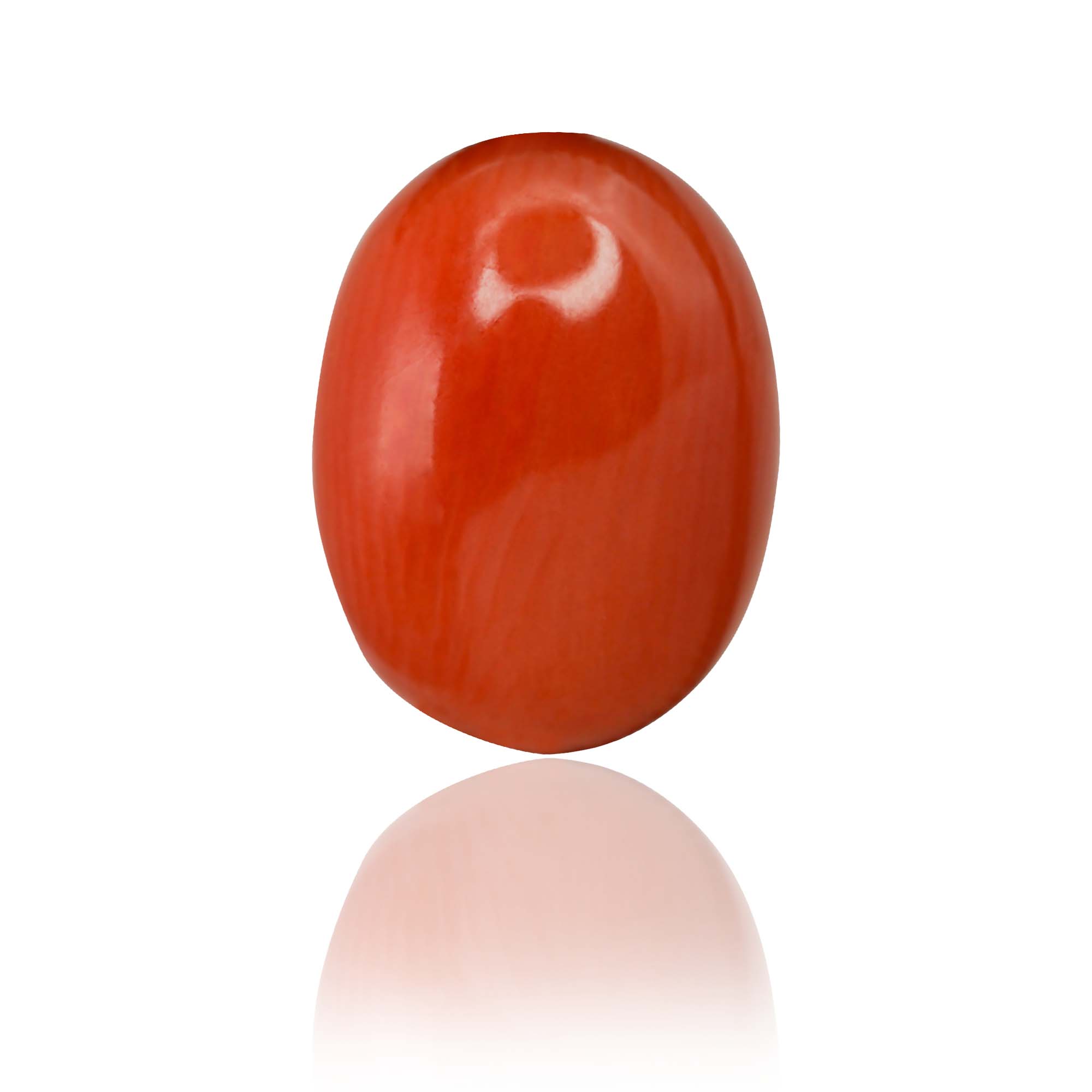 Natural Red Coral (Moonga) 4.78 Ct, Oval, Italian – IGTL Certified – front view thumbnail