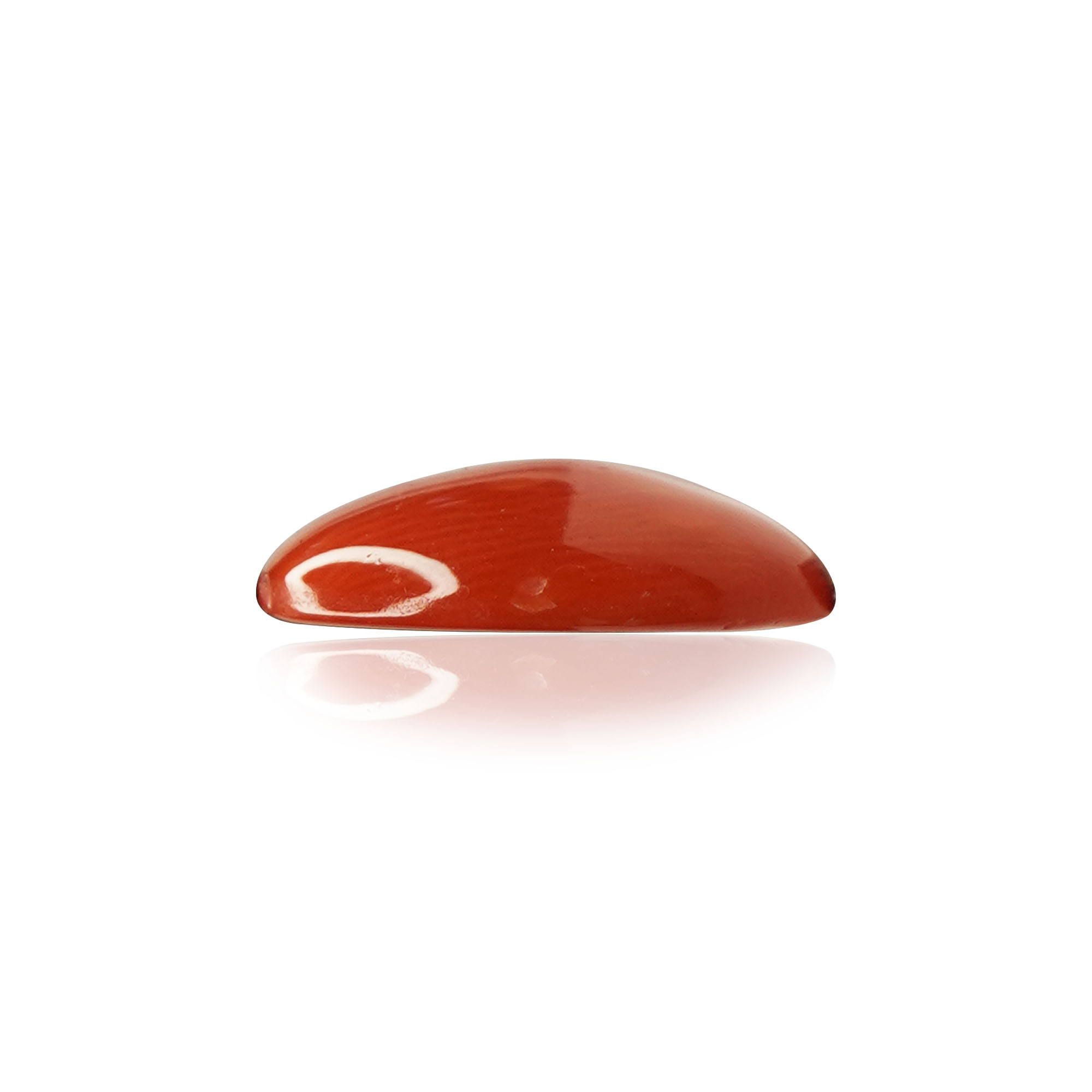 Natural Red Coral (Moonga) 2.92 Ct, Oval, Japanese – IGTL Certified – front view thumbnail